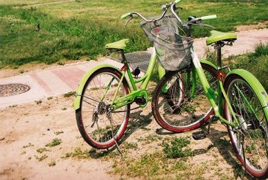 보아가 일본 블로그 방문자 1위하던 시절 올린 글들과 사진 | 인스티즈