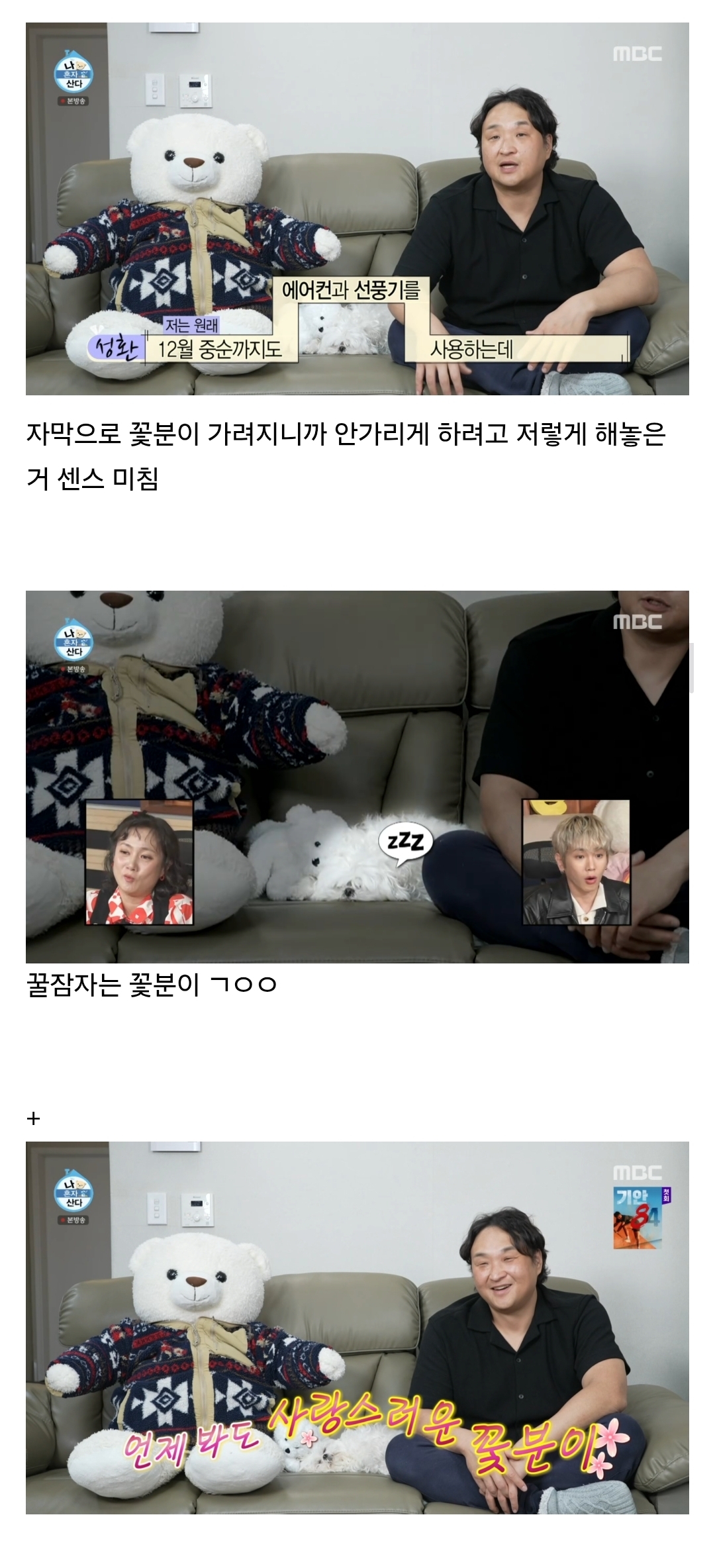 오늘자 센스미친 나혼자산다 자막팀 (ft. 꿀잠자는 꽃분이).jpg | 인스티즈