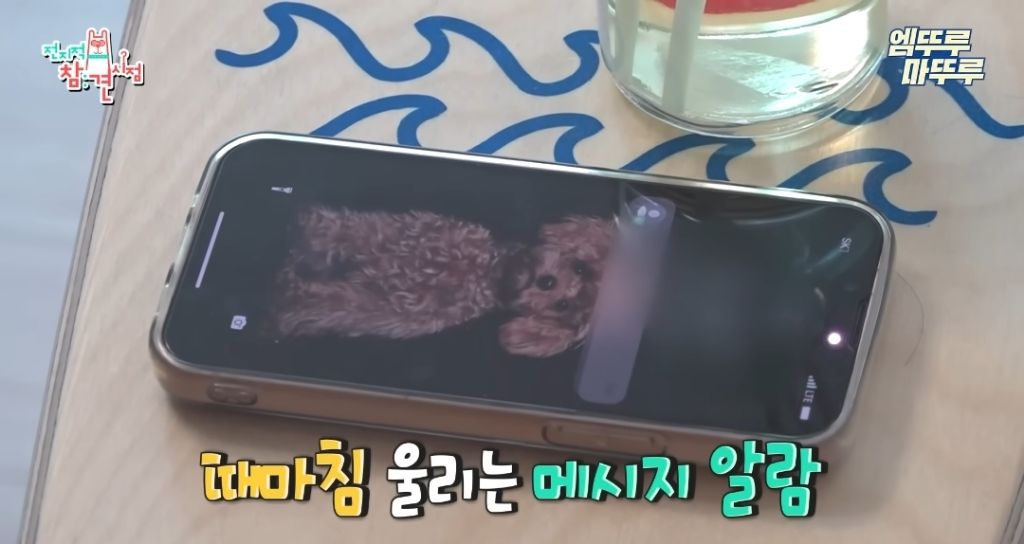 찐 ISFP라는 엄현경의 귀찮음 | 인스티즈