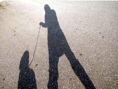 보아가 일본 블로그 방문자 1위하던 시절 올린 글들과 사진 | 인스티즈