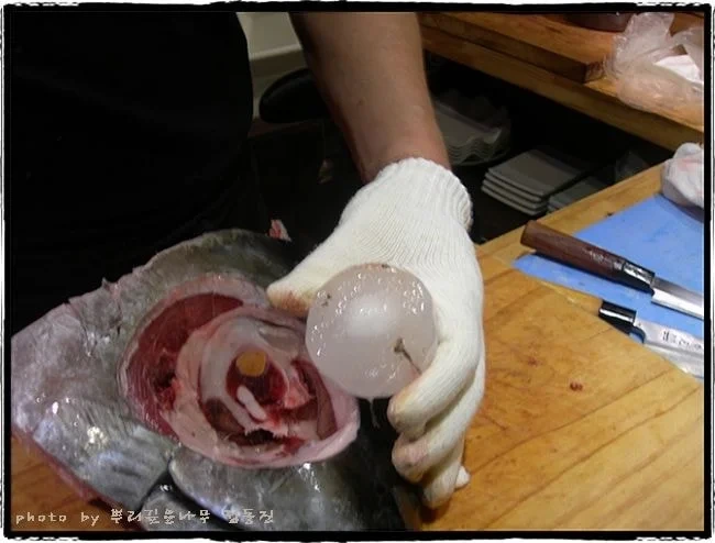 (약혐~혐)참치 눈알로 만드는 참치눈물주.jpg | 인스티즈