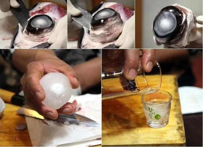 (약혐~혐)참치 눈알로 만드는 참치눈물주.jpg | 인스티즈