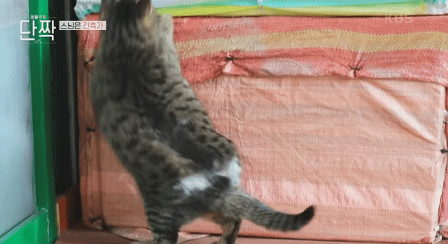 스님이 만든 2층 짜리 모텔 | 인스티즈