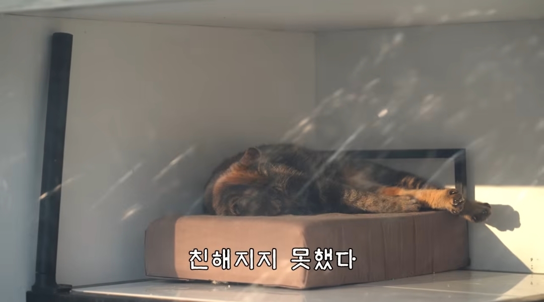 5년만에 haha ha에게 마음을 연 카오 | 인스티즈