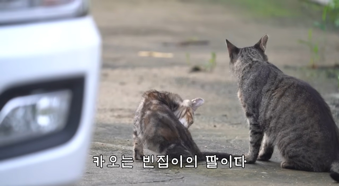 5년만에 haha ha에게 마음을 연 카오 | 인스티즈