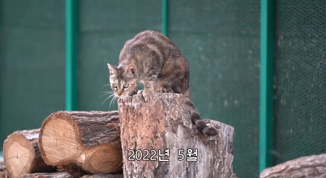 5년만에 haha ha에게 마음을 연 카오 | 인스티즈