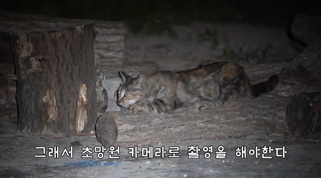 5년만에 haha ha에게 마음을 연 카오 | 인스티즈