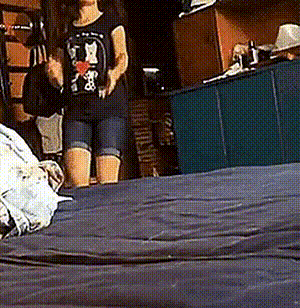 웰시코기의 정식 한국어 명칭 | 인스티즈