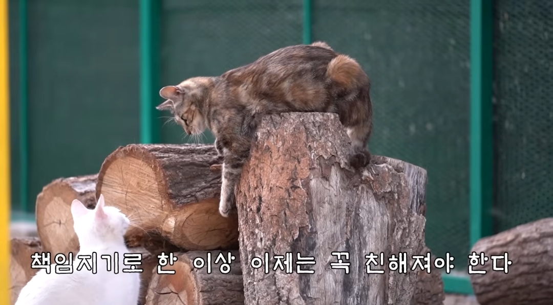 5년만에 haha ha에게 마음을 연 카오 | 인스티즈