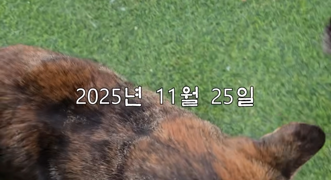 5년만에 haha ha에게 마음을 연 카오 | 인스티즈