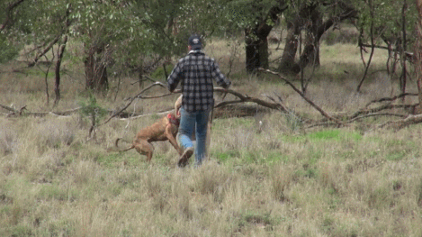 요즘이였으면 무조건 AI 소리 나왔을 짤 | 인스티즈