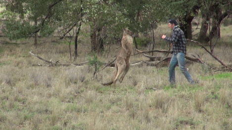 요즘이였으면 무조건 AI 소리 나왔을 짤 | 인스티즈