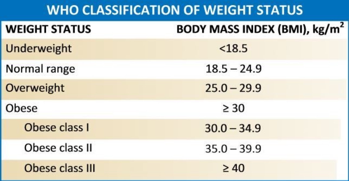 배우 박규영이 공개한 인바디 | 인스티즈