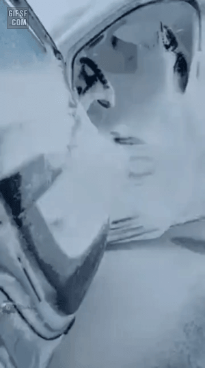 폭설에 창문 열고 주차한 자동차의 최후 | 인스티즈