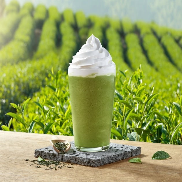 🌱녹차덕후여시🌱 녹차/말차라떼 찐하고 맛있는 프렌차이즈 추천 달글 | 인스티즈