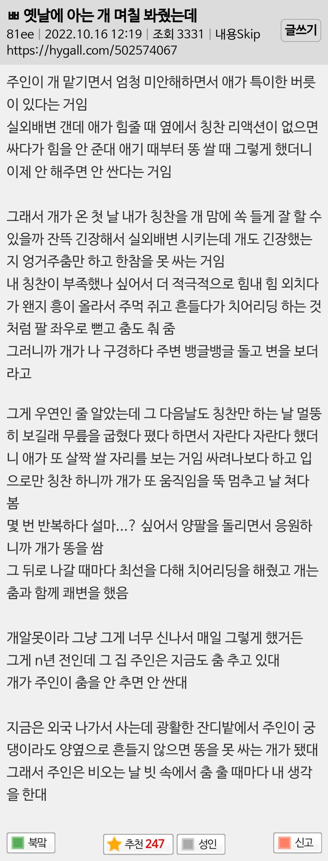 옛날에 아는 개 며칠 봐줬는데 | 인스티즈