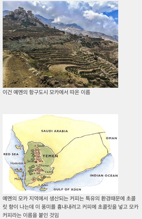 초콜릿 넣은 커피를 카페 모카라고 부르는 이유 | 인스티즈