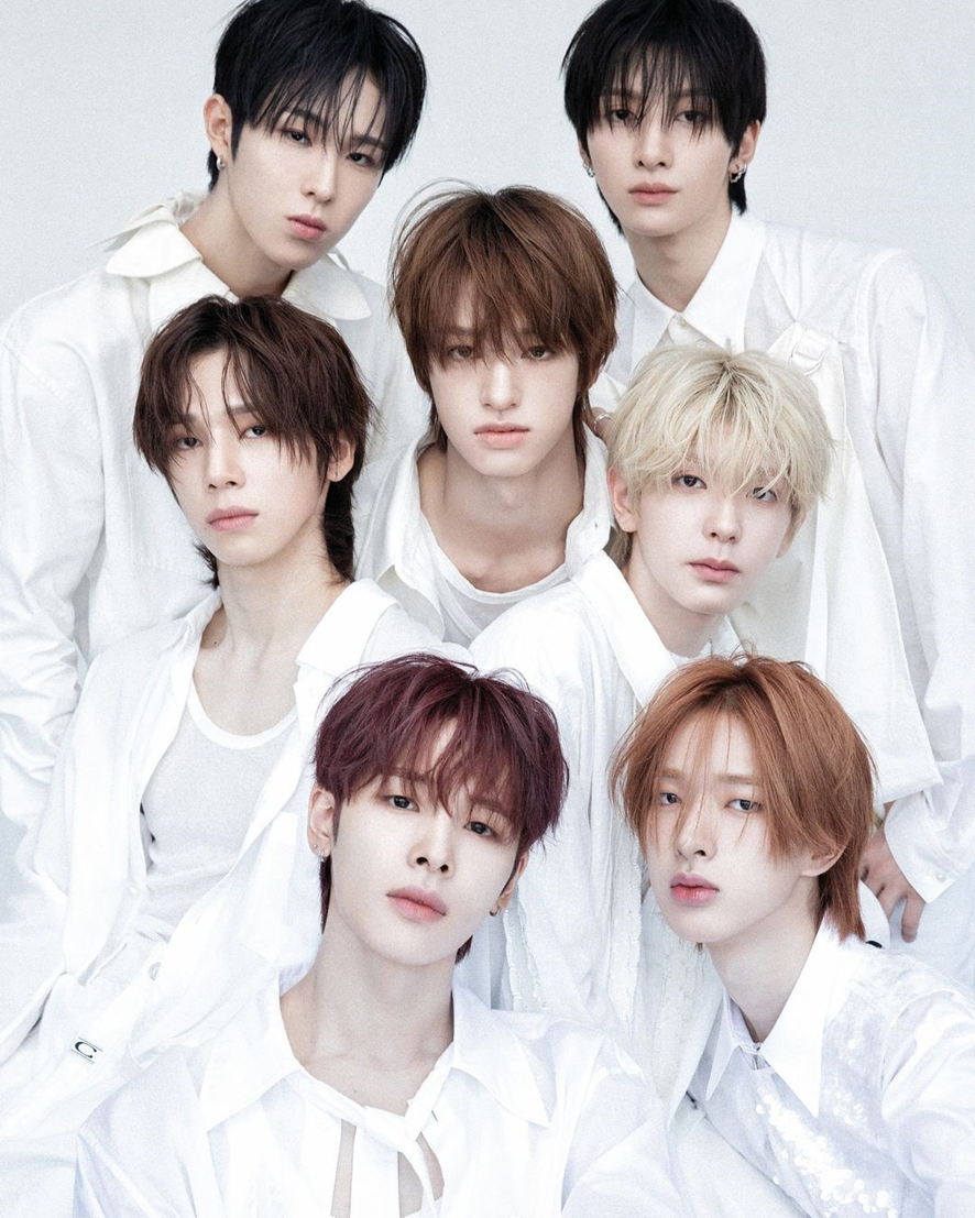 요즘 들어 많이 보인다는 일본 현지화 그룹들 | 인스티즈