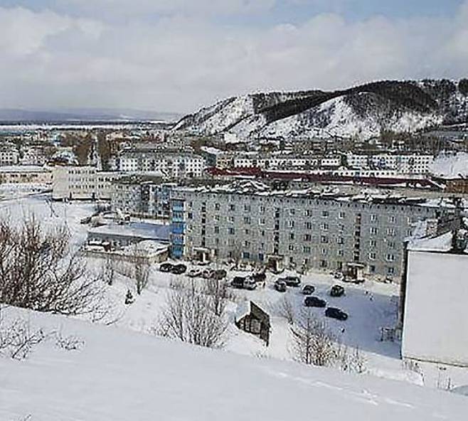 영하 20도에 실종된 10살 소녀 품에 끌어안아 밤새 자기 체온 나눠준 유기견 | 인스티즈