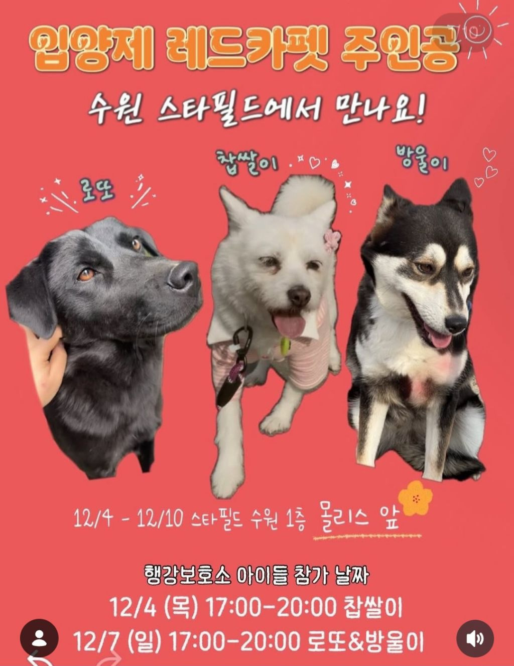 오늘부터 수원 스타필드에서 열리는 행사 | 인스티즈