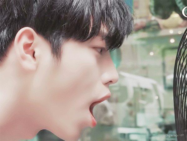 서강준은 눈이 캐리했다vs입술 포함 하관이 캐리했다 하나만 골라보는 달글 | 인스티즈