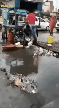 어머니의 손맛도 절대 따라올 수 없는 인도 길거리음식gif | 인스티즈