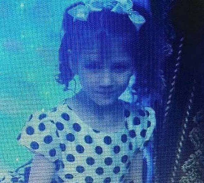 영하 20도에 실종된 10살 소녀 품에 끌어안아 밤새 자기 체온 나눠준 유기견 | 인스티즈