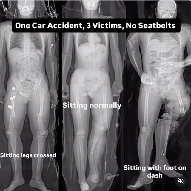 dont-put-your-feet-on-the-dash-oh-and-wear-a-seatbelt-v0-ujs551pf1c5g1.webp