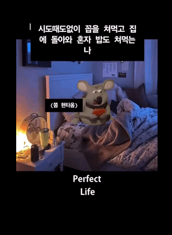 이짤 뭔가 눈물남.. 나 초년생때 모습 같아서 | 인스티즈