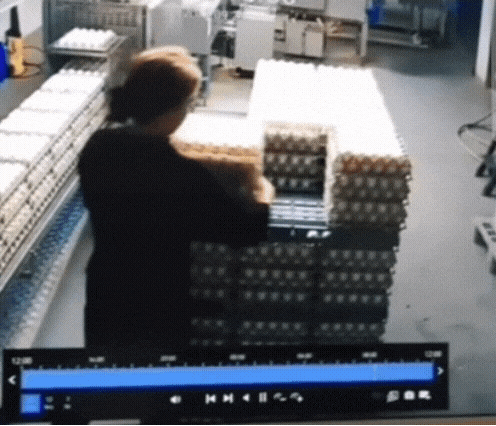 뇌정지 온 알바 | 인스티즈