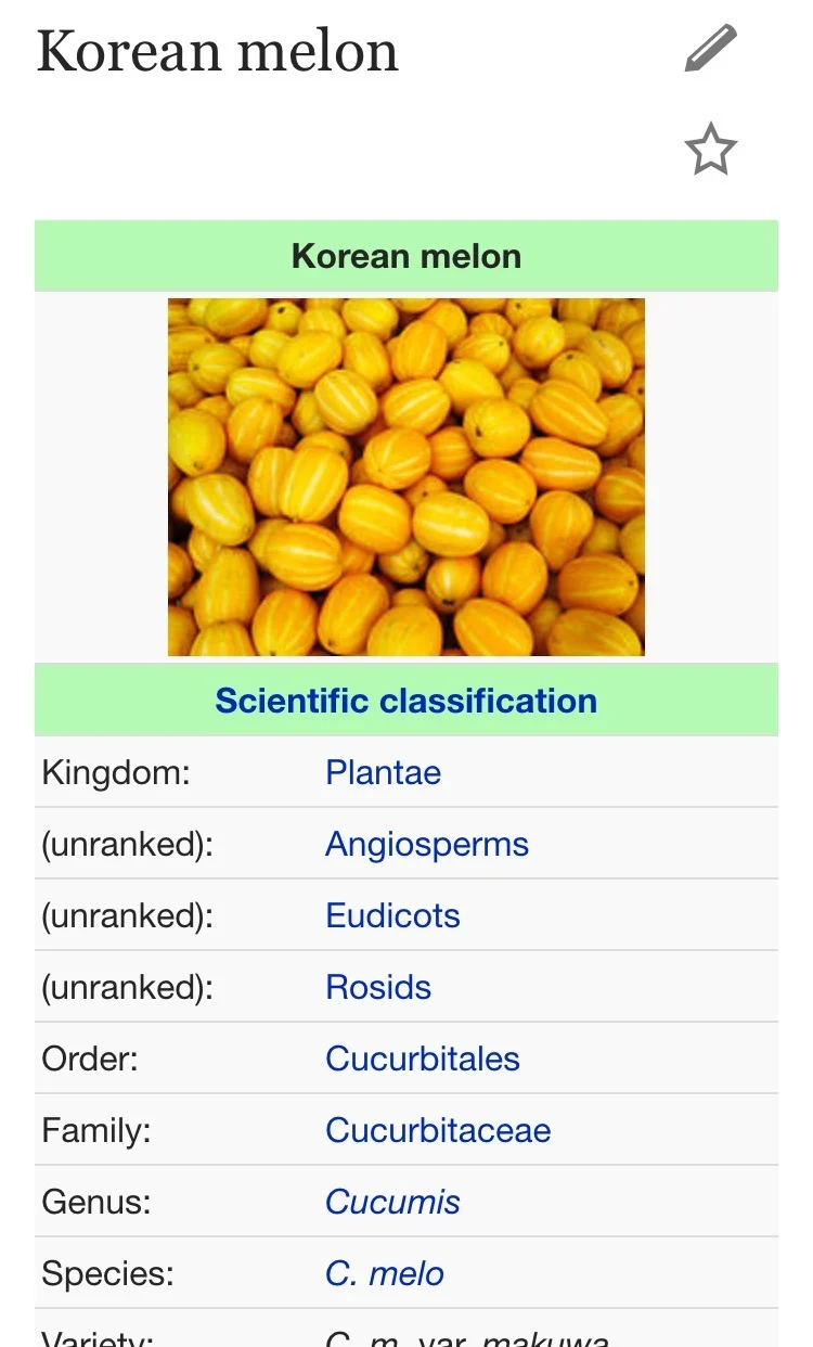 외국에서 한국 고유 과일로 착각하는 것.jpg | 인스티즈