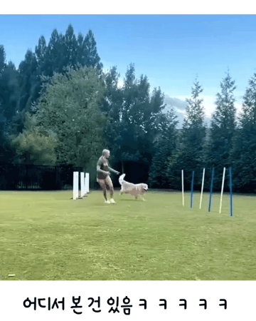 어디서 본 건 있음ㅋㅋㅋ | 인스티즈