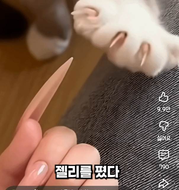 ??? : 어휴...손톱 넣는 법도 모르는 덩치만 큰녀석같으니 | 인스티즈