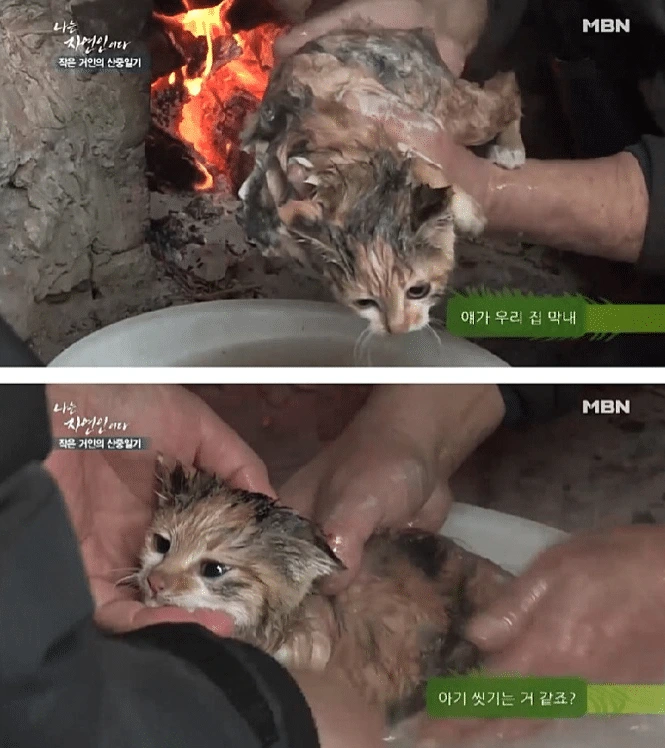 나는 자연인이다 솥에 고양이를 넣고.. | 인스티즈