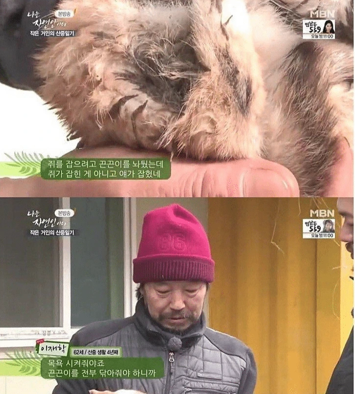 나는 자연인이다 솥에 고양이를 넣고.. | 인스티즈