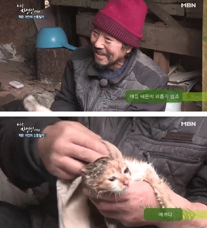 나는 자연인이다 솥에 고양이를 넣고.. | 인스티즈