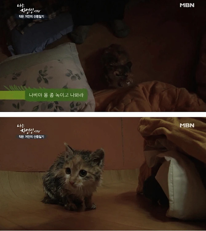 나는 자연인이다 솥에 고양이를 넣고.. | 인스티즈