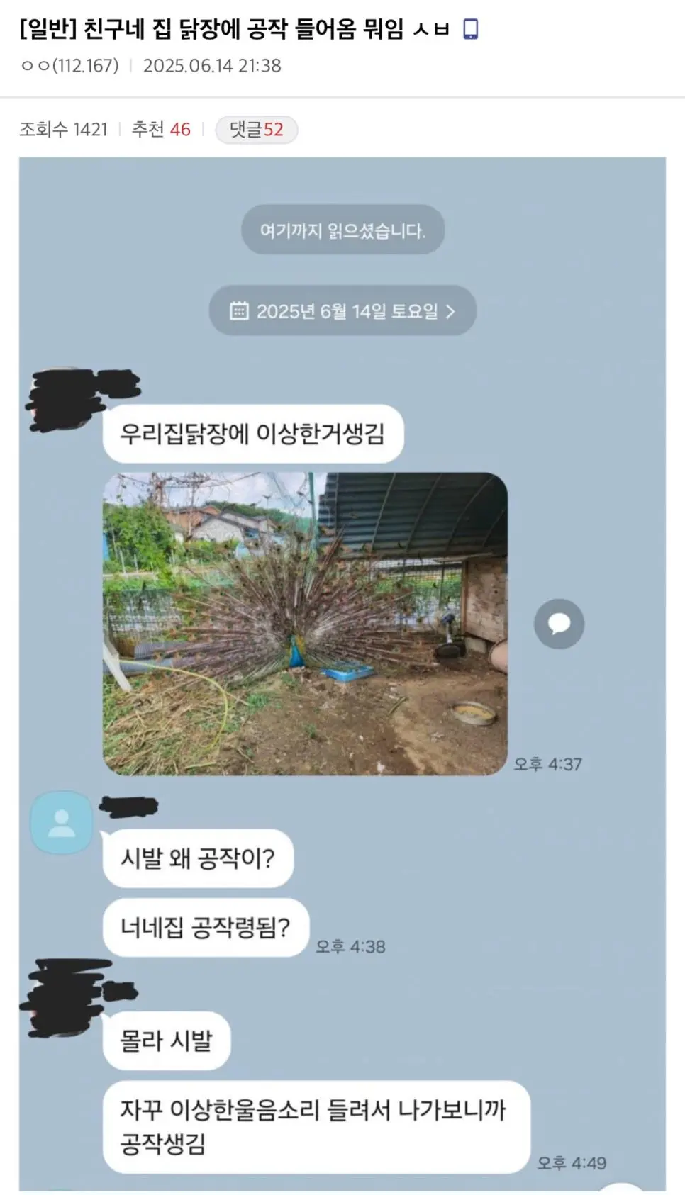 친구네 집 닭장에 공작 들어옴 | 인스티즈