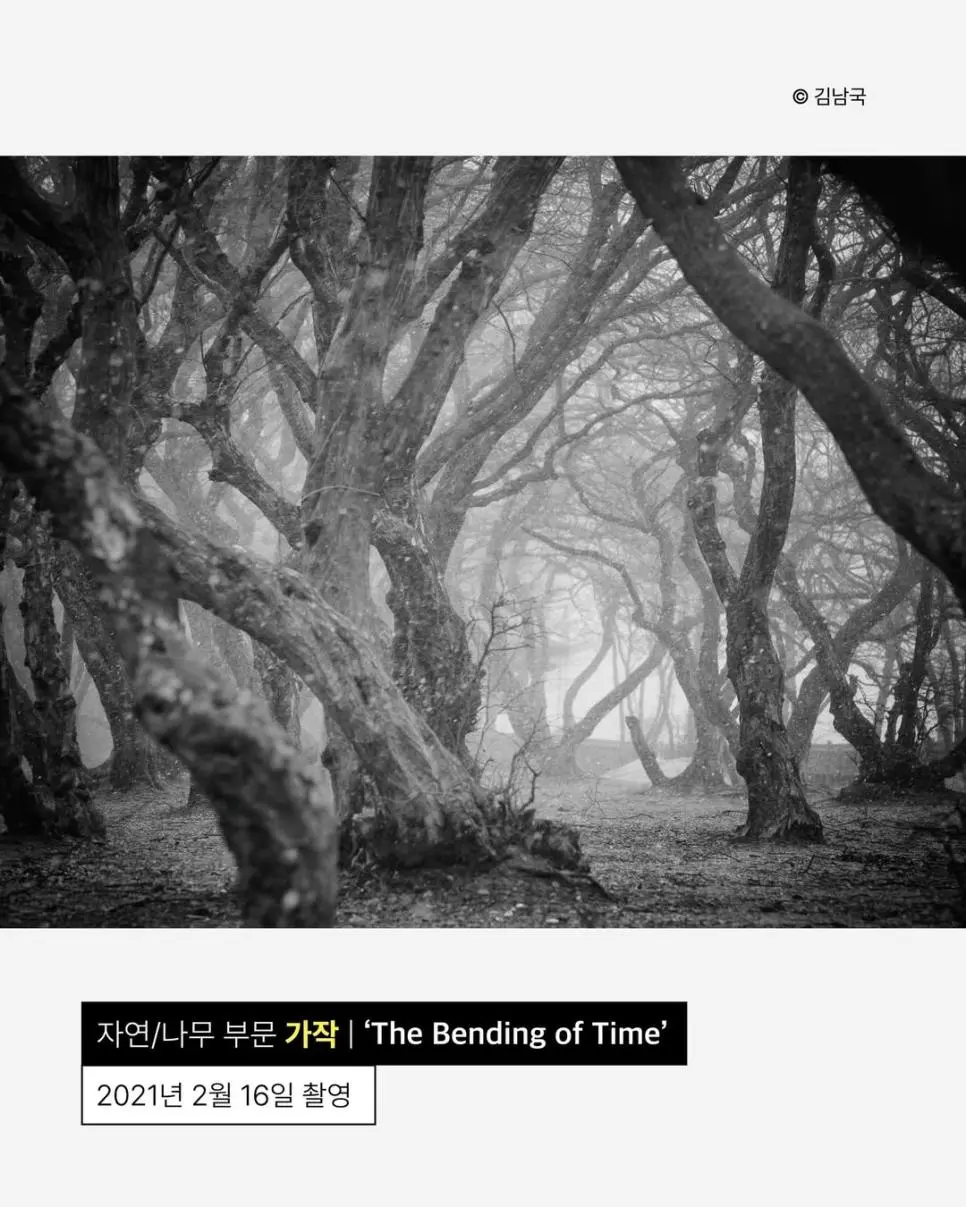 사진이 취미라는 안산시청 공무원 | 인스티즈