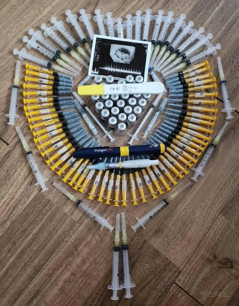 인스타 시험관 임신 성공 기념 인증샷.jpg | 인스티즈