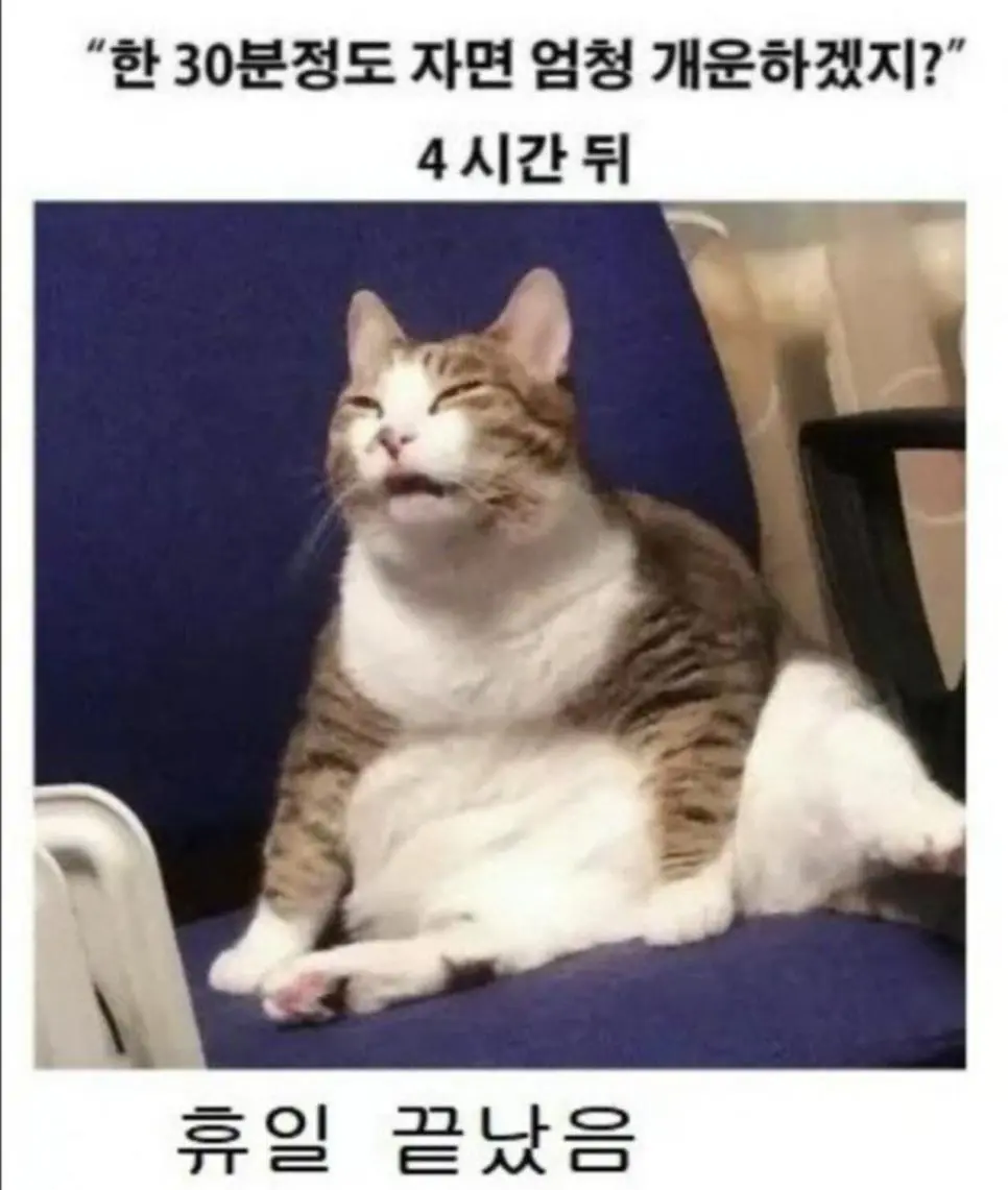 휴일에 낮잠이 위험한 이유 | 인스티즈