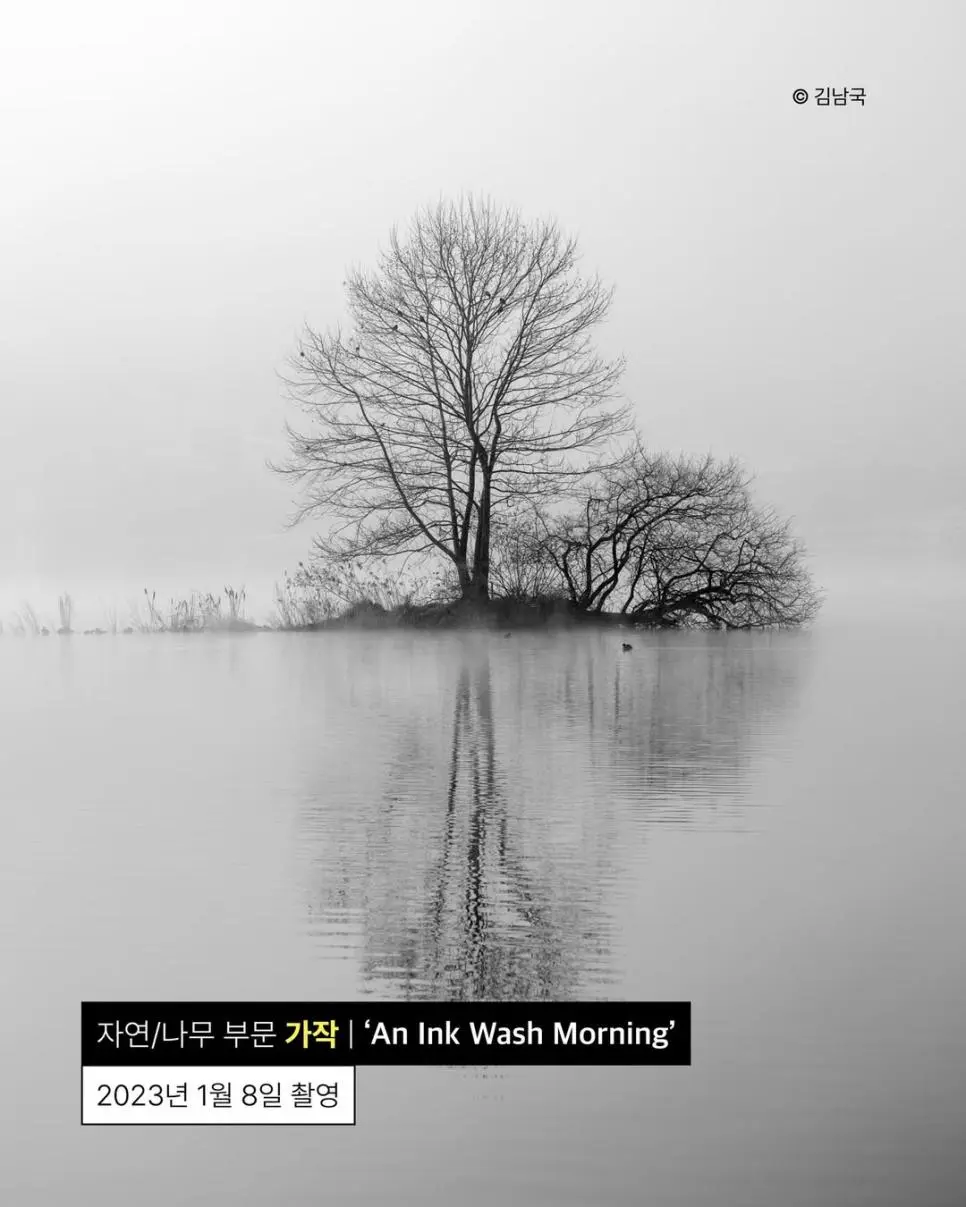 사진이 취미라는 안산시청 공무원 | 인스티즈