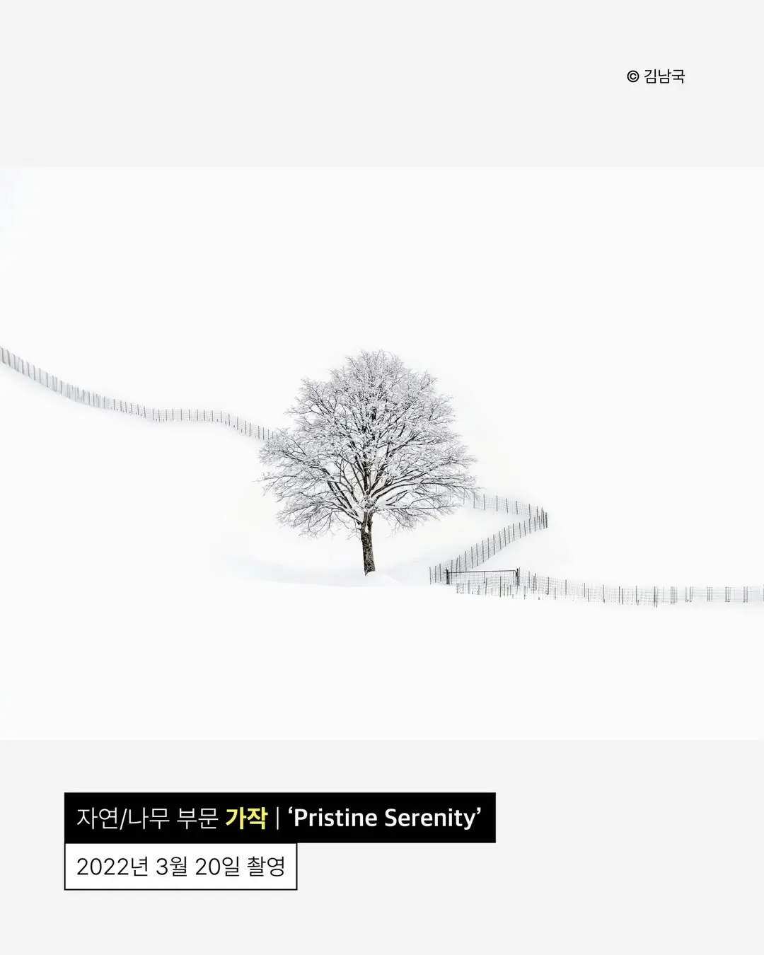 사진이 취미라는 안산시청 공무원 | 인스티즈