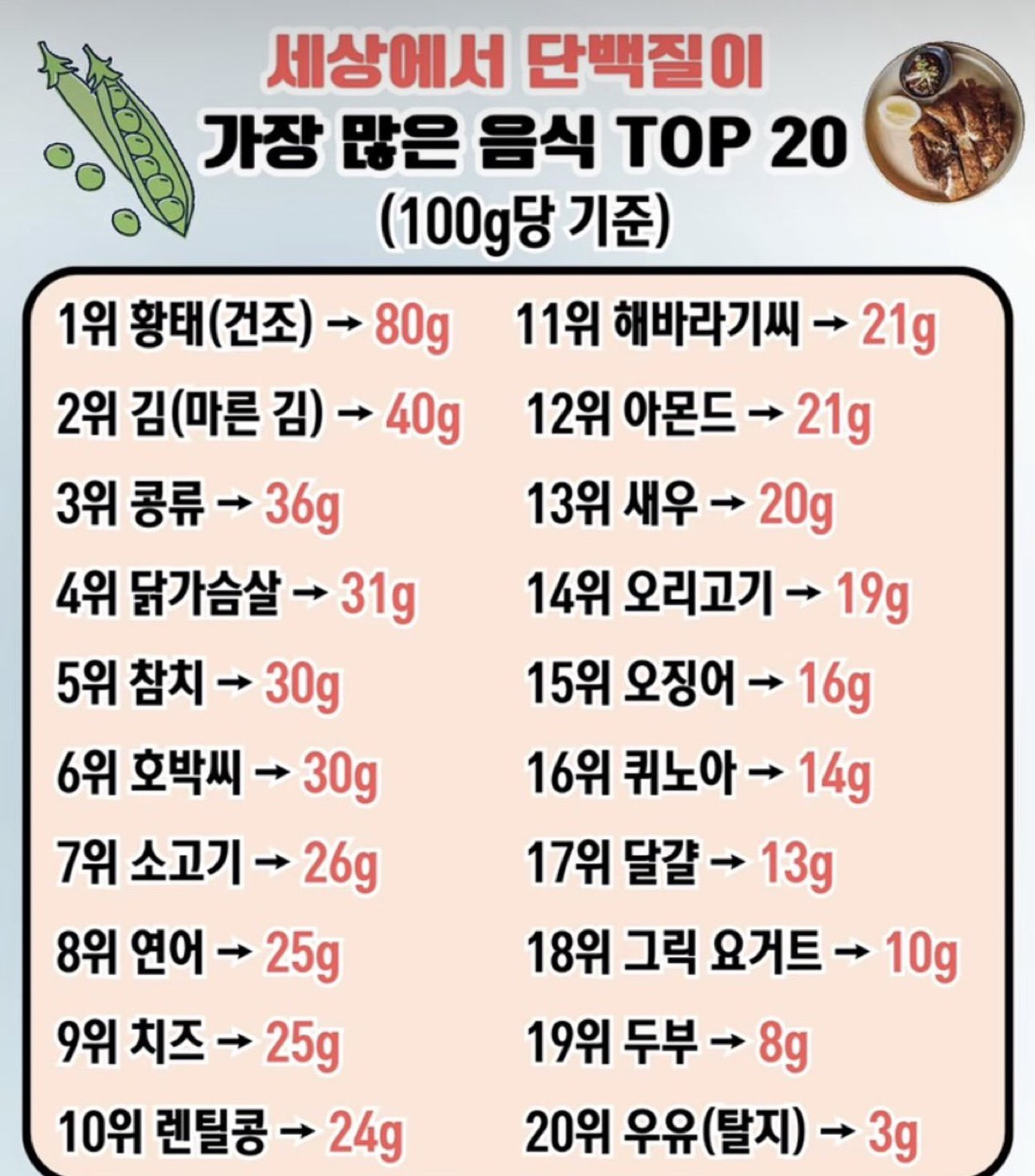 단백질이 가장 많은음식 20가지 | 인스티즈