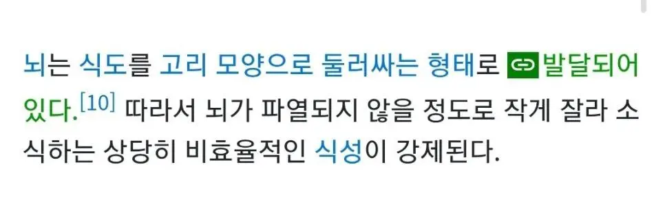 신기한 오징어의 뇌와 식도 | 인스티즈