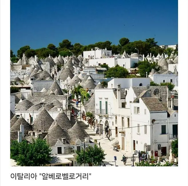 세계에서 제일 예쁜 길이라고 함.jpg | 인스티즈