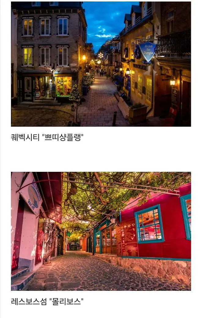 세계에서 제일 예쁜 길이라고 함.jpg | 인스티즈