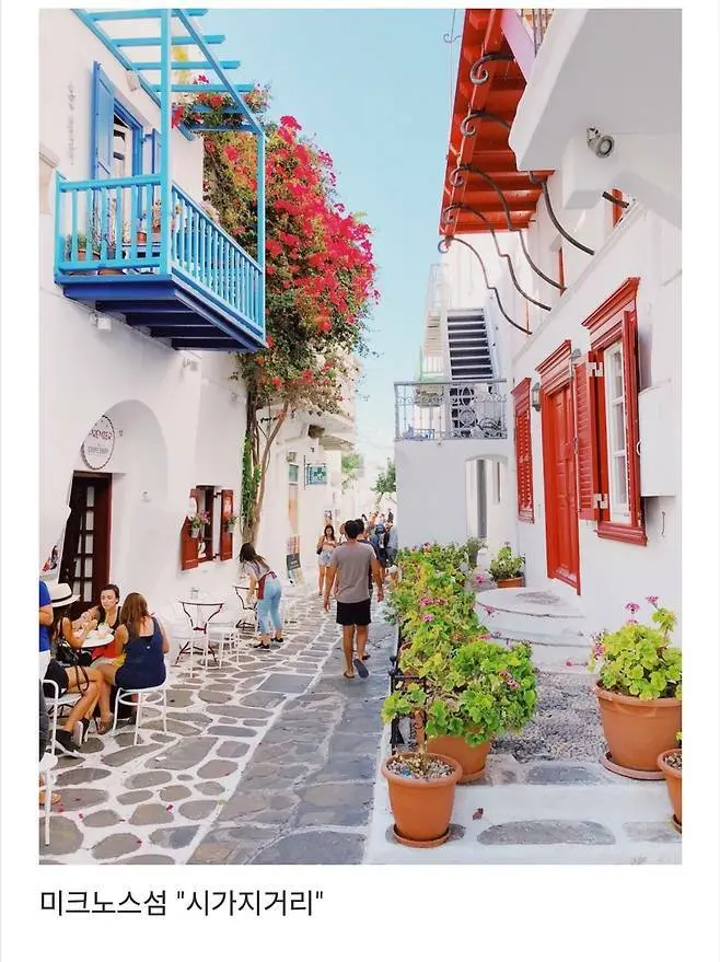 세계에서 제일 예쁜 길이라고 함.jpg | 인스티즈