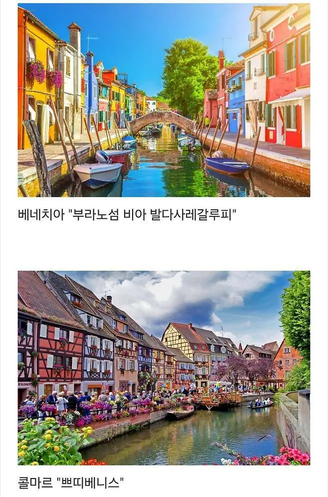 세계에서 제일 예쁜 길이라고 함.jpg | 인스티즈