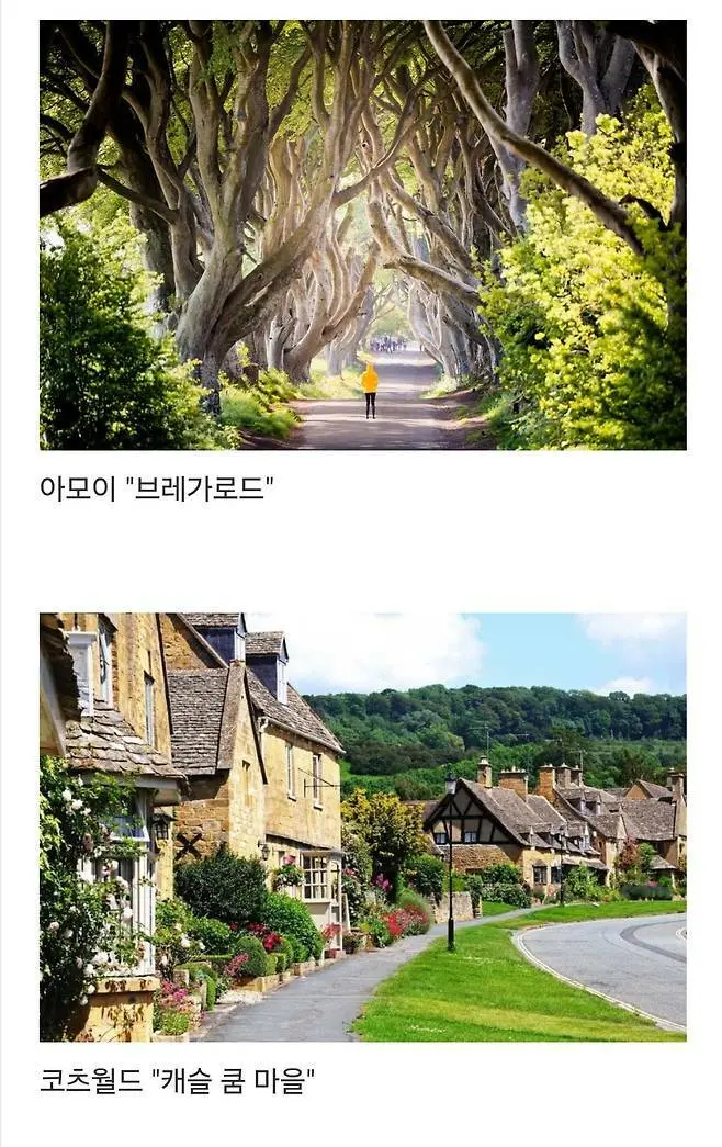 세계에서 제일 예쁜 길이라고 함.jpg | 인스티즈